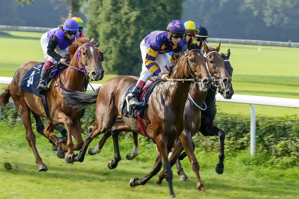 Chevaux de course au galop